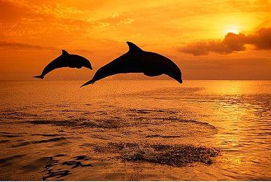 恋爱冒险游戏《爱情再起航》上架Steam 日本老师来了