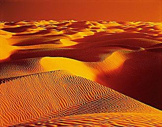 片冈智×皇琥珀AVG新作《新宿葬命》跳票 5月24日发售