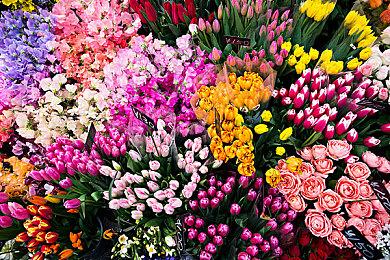 《魔兽世界》国服正式服完成扩容 大幅缓解排队情况